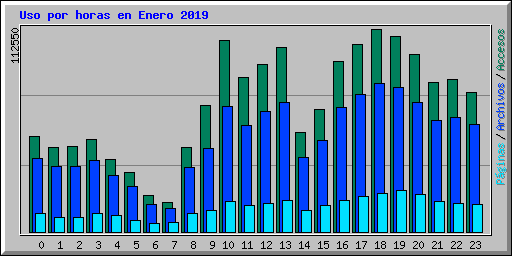 Uso por horas en Enero 2019